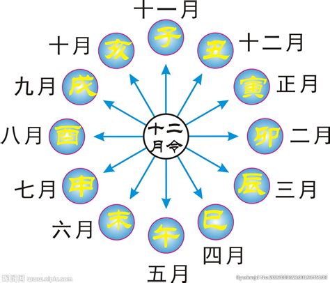 12 地支|地支